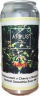 Arpus Puhaste Blackcurrant x Cherry x Mango x Apricot Smoothie Sour Ale