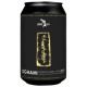 Lough Gill Ogham - BA Stout