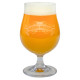 Sierra Nevada bierglas