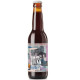 Van Moll Jivan - BA Stout